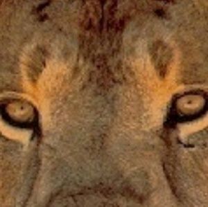 Meet your Posher, Richard